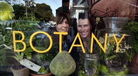 The faces and storefront of Botany.