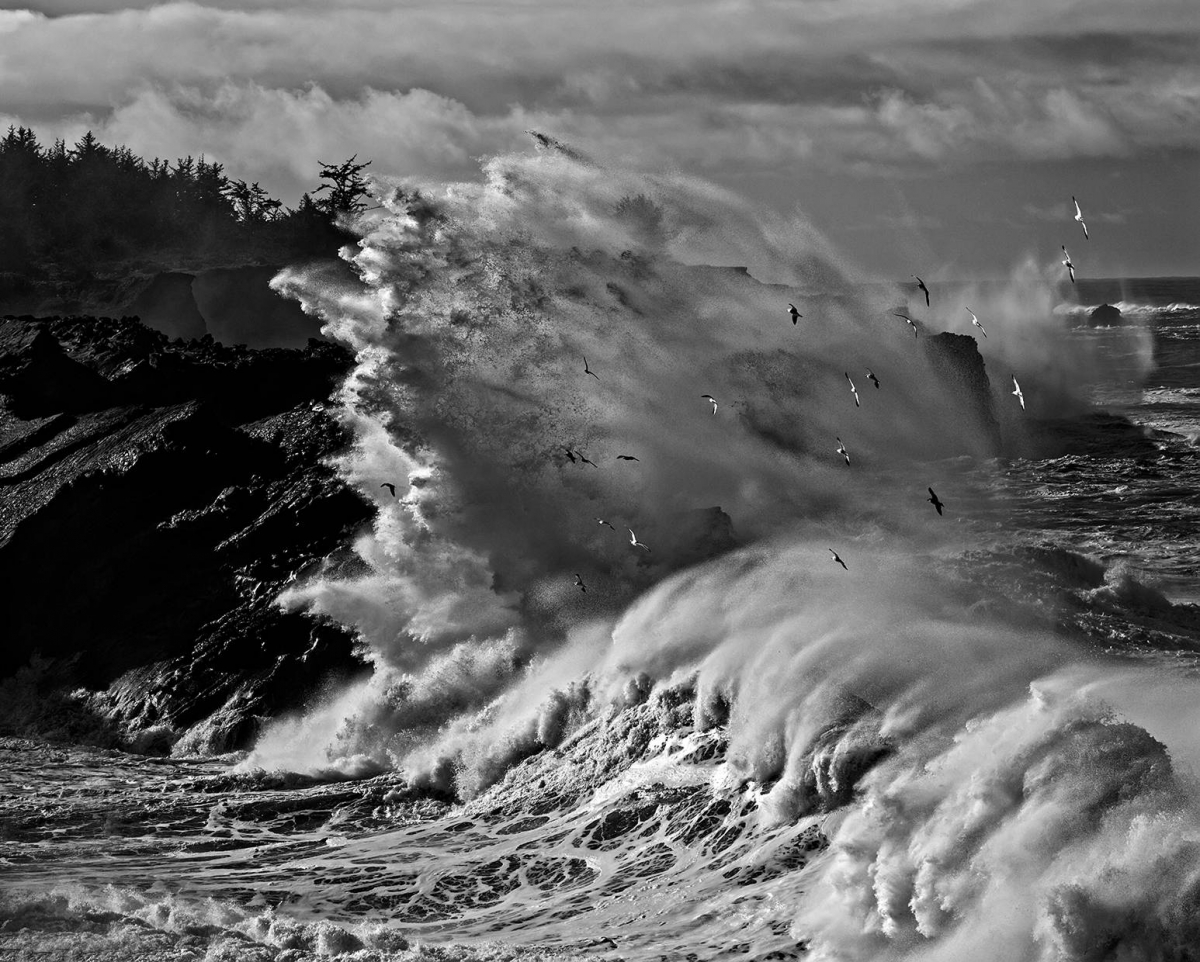 Oregon giant wave 811